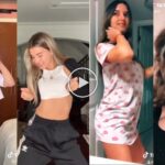 Sexy TikTok girls wap challenge compilation